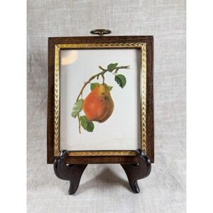 Vintage Framed Pear Botanical Print | Dark Wood & Gold Gilt Frame